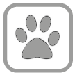 Accetta Animali Animali