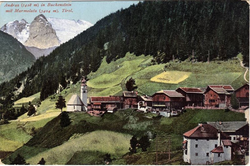 cartoline