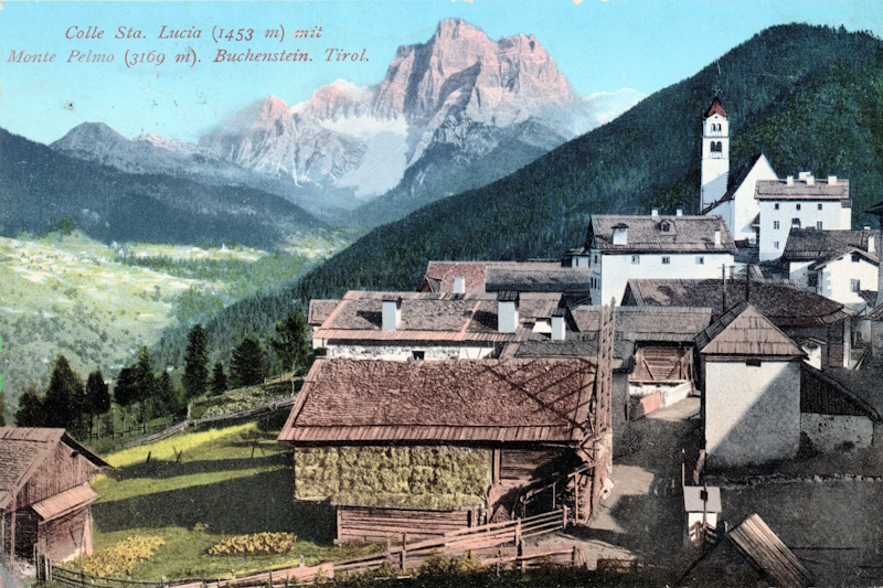 cartoline