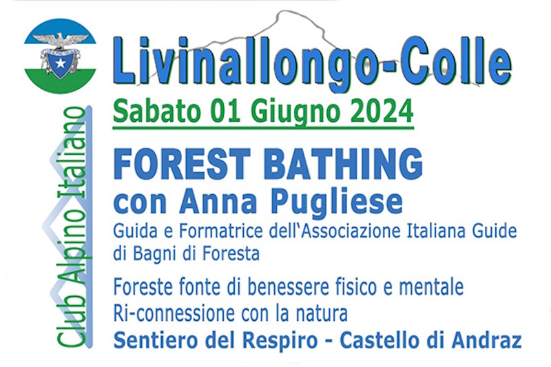 Forest Bathing